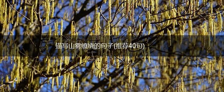 描写山雾缭绕的句子(推荐40句),第1张