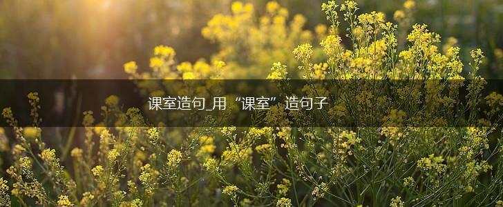 课室造句_用“课室”造句子,第1张