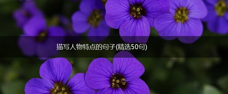 描写人物特点的句子(精选50句),第1张