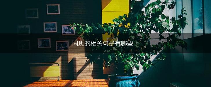 同班的相关句子有哪些,第1张