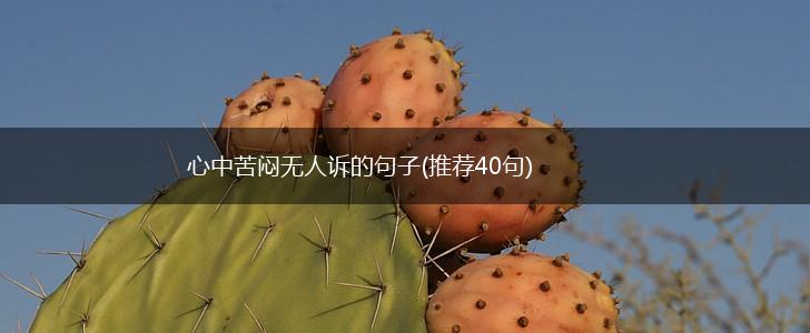 心中苦闷无人诉的句子(推荐40句),第1张