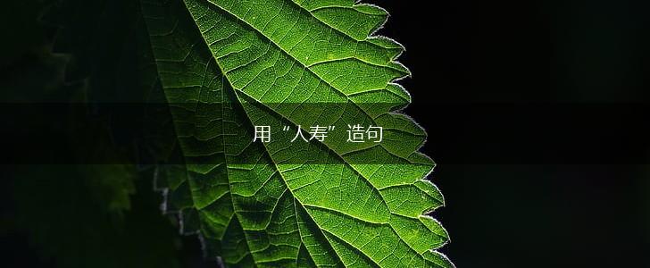 用“人寿”造句,第1张