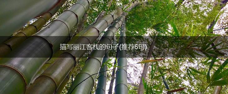描写丽江客栈的句子(推荐6句),第1张