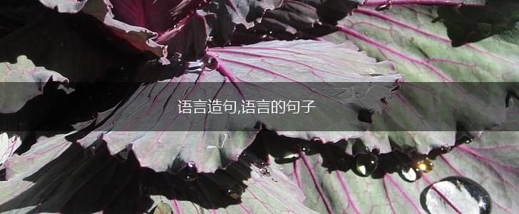 语言造句,语言的句子,第1张