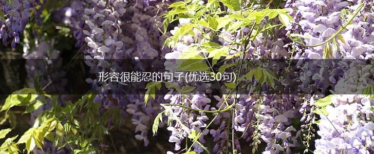 形容很能忍的句子(优选30句),第1张