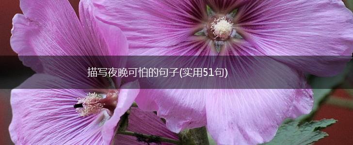 描写夜晚可怕的句子(实用51句),第1张