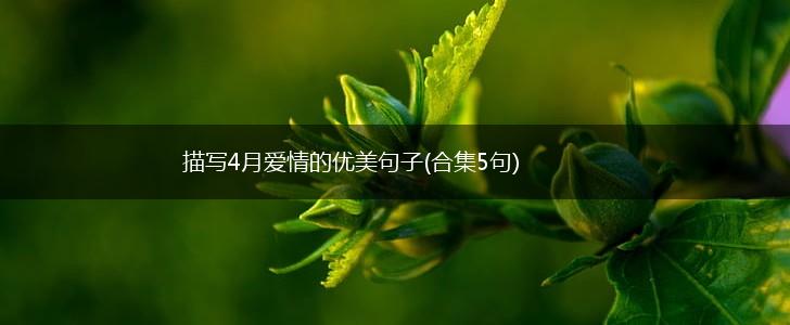 描写4月爱情的优美句子(合集5句),第1张