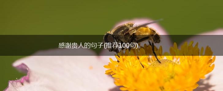 感谢贵人的句子(推荐100句),第1张