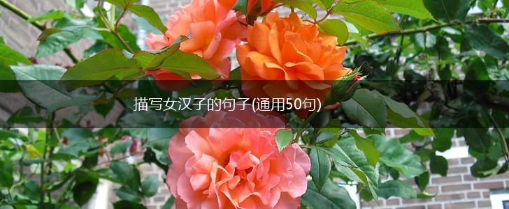 描写女汉子的句子(通用50句),第1张