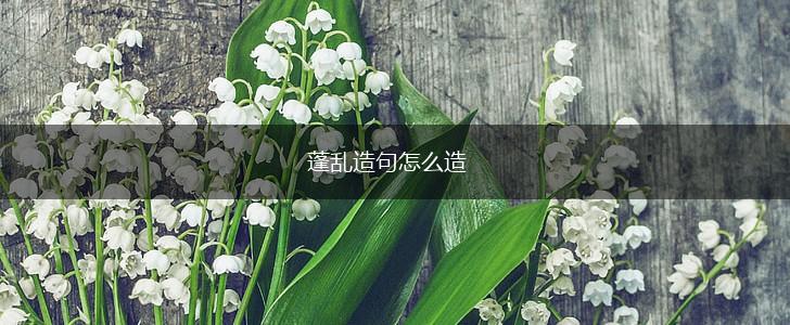 蓬乱造句怎么造,第1张