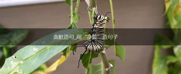 贪赃造句_用“贪赃”造句子,第1张