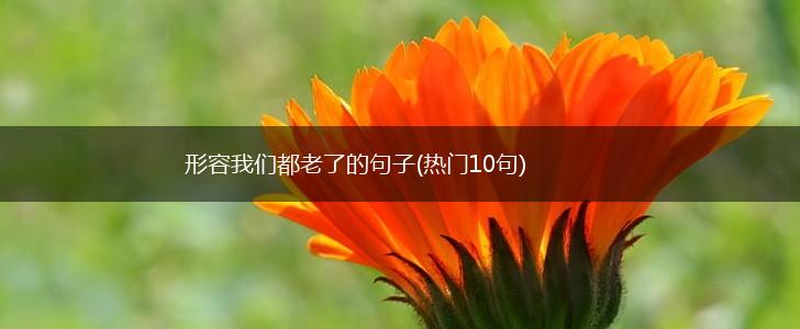 形容我们都老了的句子(热门10句),第1张