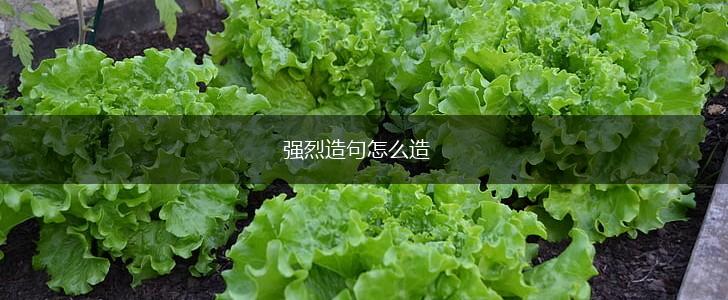 强烈造句怎么造,第1张