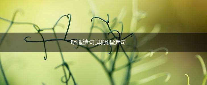 明理造句,用明理造句,第1张