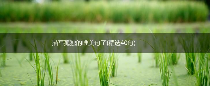 描写孤独的唯美句子(精选40句),第1张