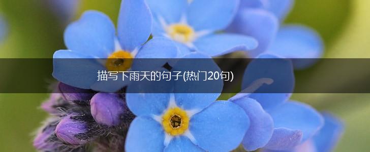 描写下雨天的句子(热门20句),第1张