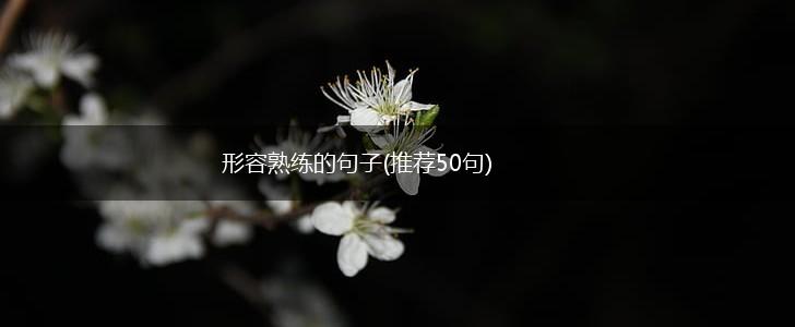 形容熟练的句子(推荐50句),第1张