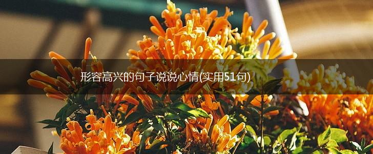 形容高兴的句子说说心情(实用51句),第1张
