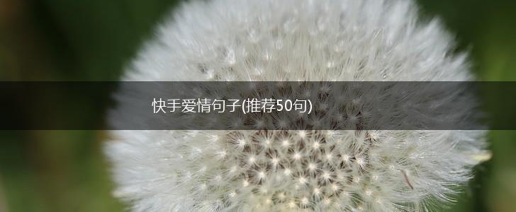 快手爱情句子(推荐50句),第1张