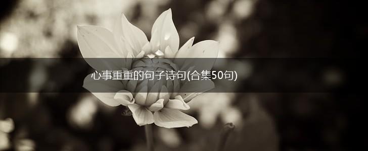 心事重重的句子诗句(合集50句),第1张