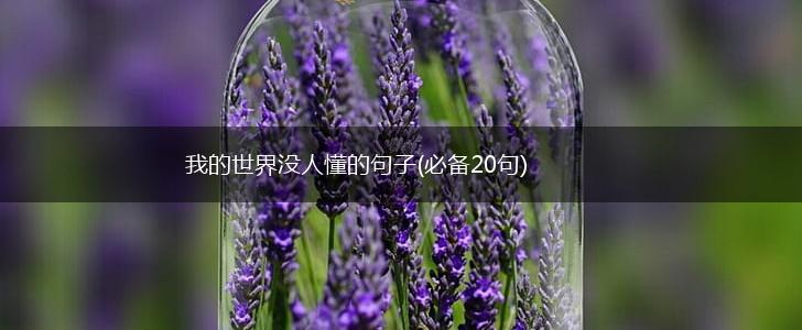 我的世界没人懂的句子(必备20句),第1张