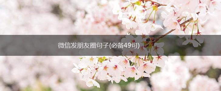 微信发朋友圈句子(必备49句),第1张