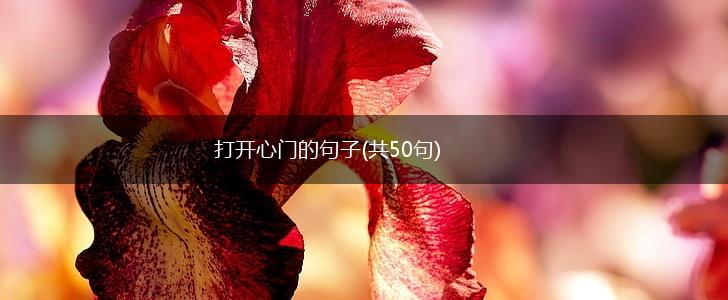 打开心门的句子(共50句),第1张