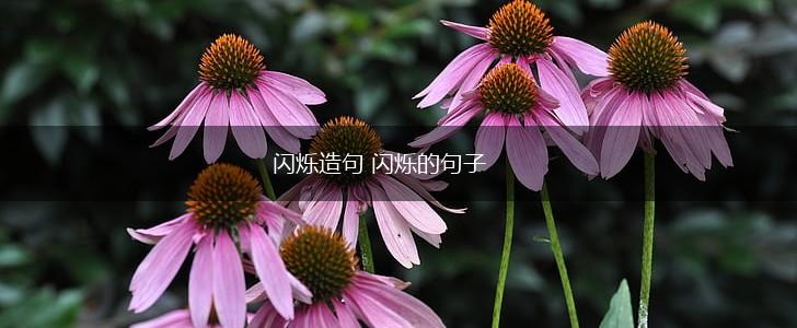 闪烁造句 闪烁的句子,第1张