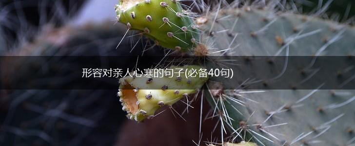 形容对亲人心寒的句子(必备40句),第1张