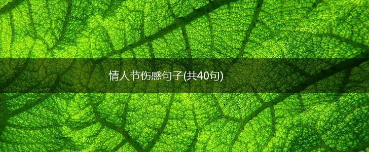 情人节伤感句子(共40句),第1张