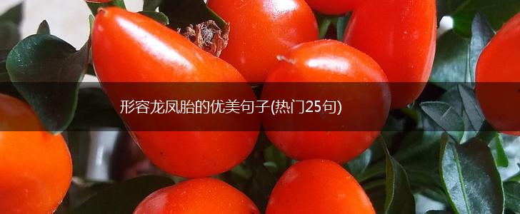 形容龙凤胎的优美句子(热门25句),第1张