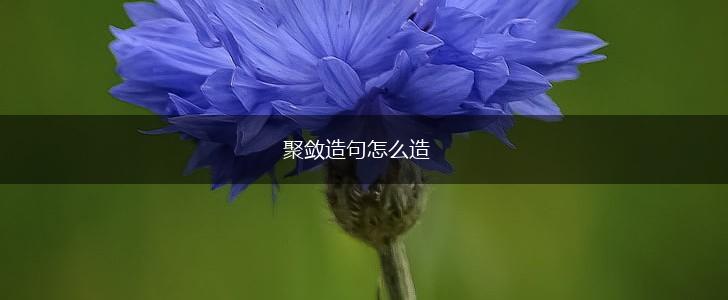 聚敛造句怎么造,第1张