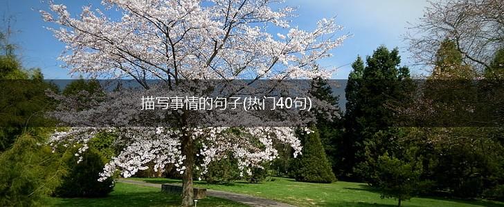 描写事情的句子(热门40句),第1张
