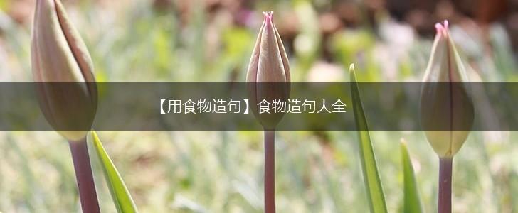 【用食物造句】食物造句大全,第1张