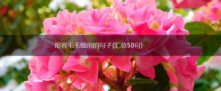 形容毛毛细雨的句子(汇总50句),第1张