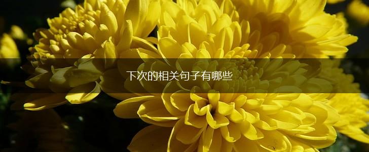 下次的相关句子有哪些,第1张