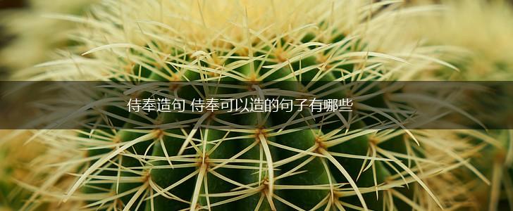 侍奉造句 侍奉可以造的句子有哪些,第1张