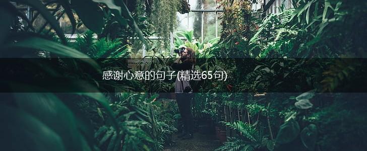 感谢心意的句子(精选65句),第1张