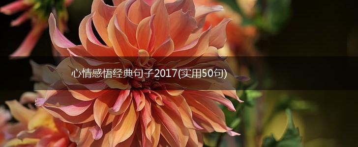 心情感悟经典句子2017(实用50句),第1张