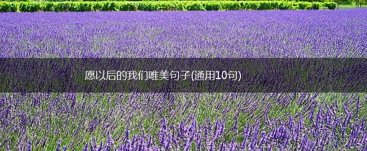 愿以后的我们唯美句子(通用10句),第1张