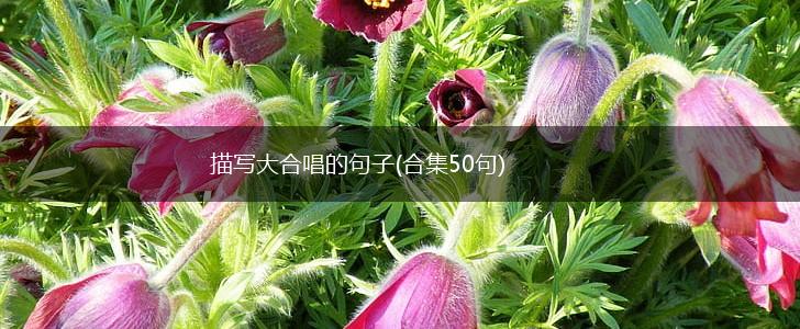 描写大合唱的句子(合集50句),第1张