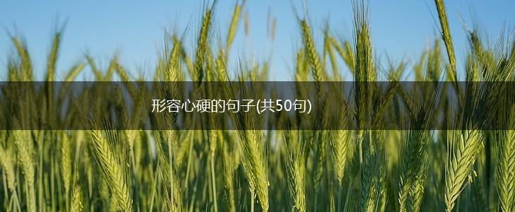 形容心硬的句子(共50句),第1张