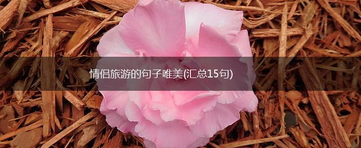 情侣旅游的句子唯美(汇总15句),第1张