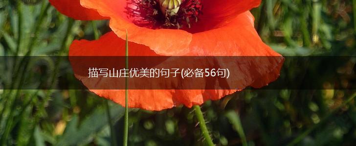 描写山庄优美的句子(必备56句),第1张