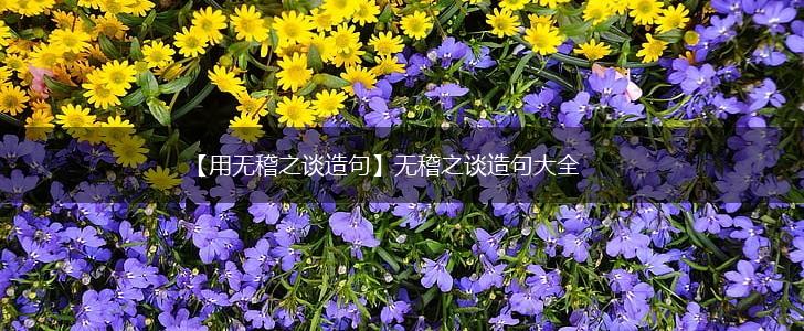 【用无稽之谈造句】无稽之谈造句大全,第1张