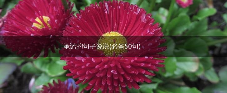 承诺的句子说说(必备50句),第1张