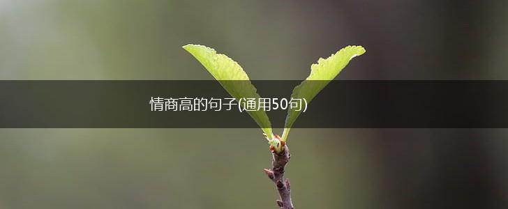 情商高的句子(通用50句),第1张
