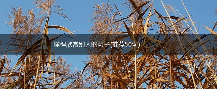 懂得欣赏别人的句子(推荐50句),第1张