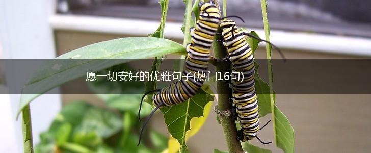 愿一切安好的优雅句子(热门16句),第1张