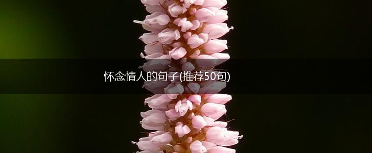 怀念情人的句子(推荐50句),第1张